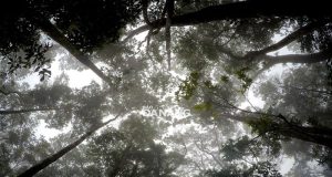 May Mu Mountain Peak’s Beauty Captured in Stunning Photograhs May Mu Mountain Peak's Beauty Captured in Stunning Photograhs